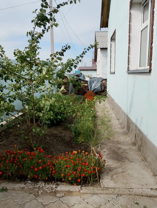 Частный дом в Байтереке