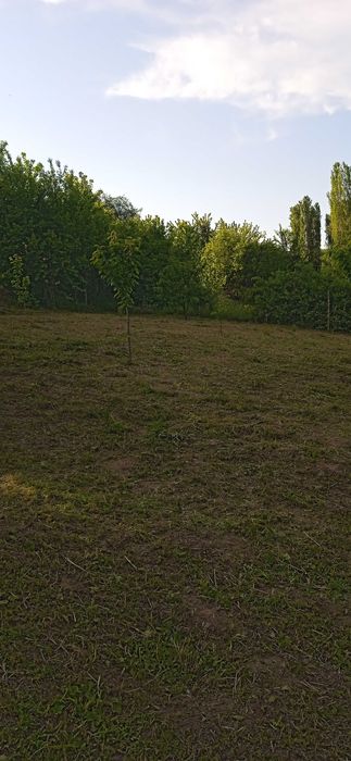 Продава се Къща в Видин, Акджамия - 56 кв.м за 1822 €/кв.м - Снимка #6