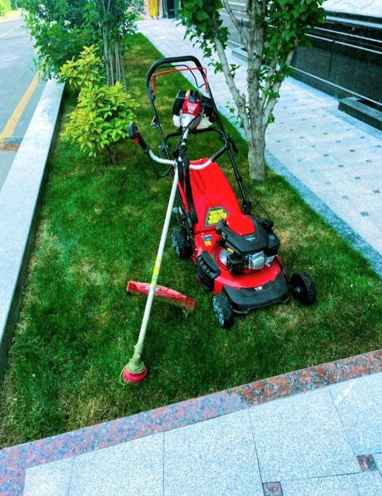 Gazon oramiz va dorilaymiz