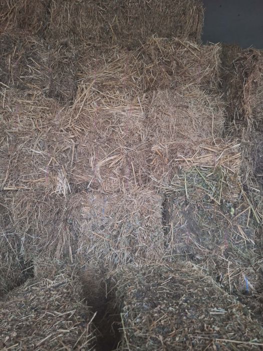 Люцерна доставка на място