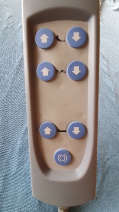 pat electric cu telecomanda