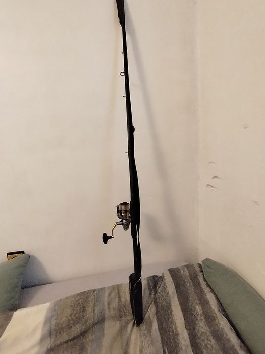 DAIWA 23 MEGAFORCE TRAVEL SPIN + Shimano Sedona 4000