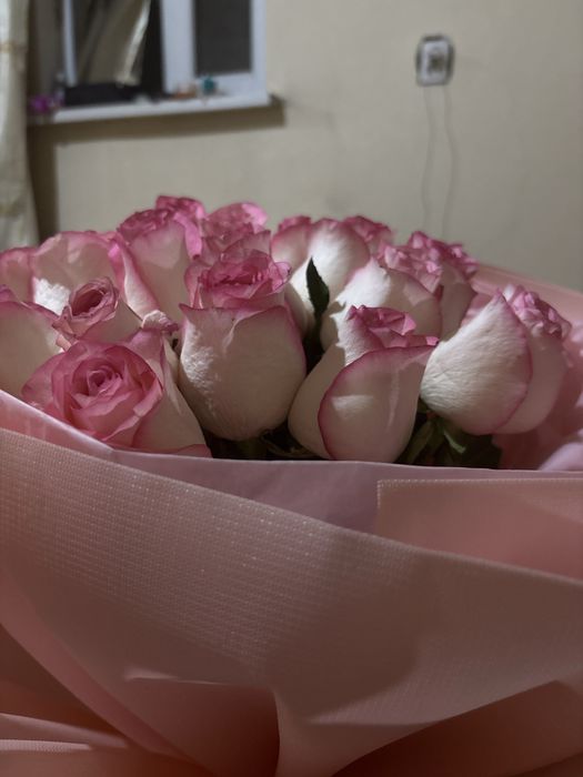 Гүл керектер хабарласыңдар