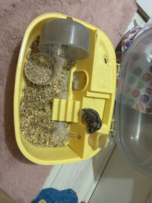 Продам клетку с хомячком