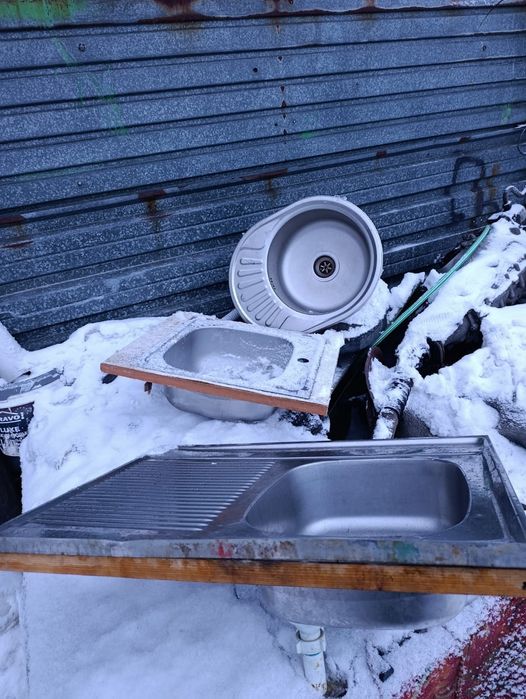 Раковина тюльпан