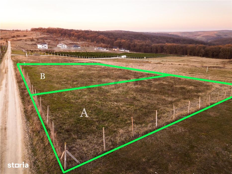 RECO Teren intravilan in Saldabagiu de Munte