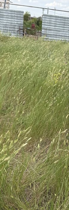 Продам 10 соток земли