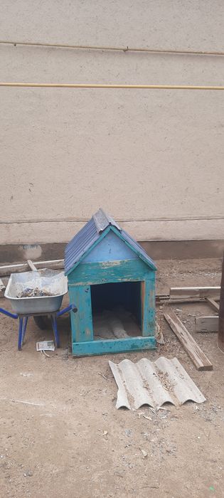 Иттің үйшігі сатылады