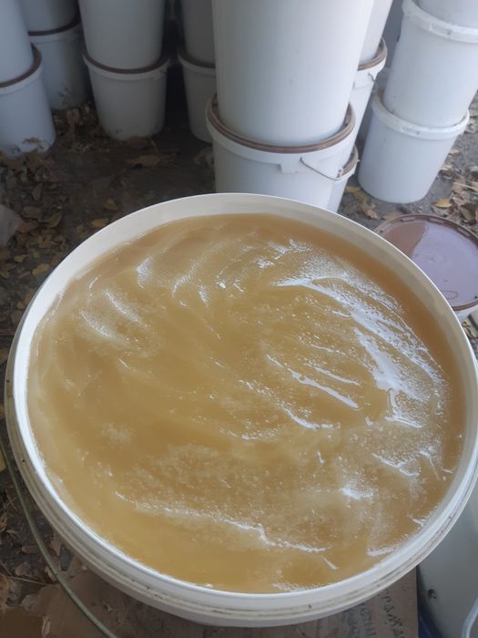 Мёд натуральный мёд оптом