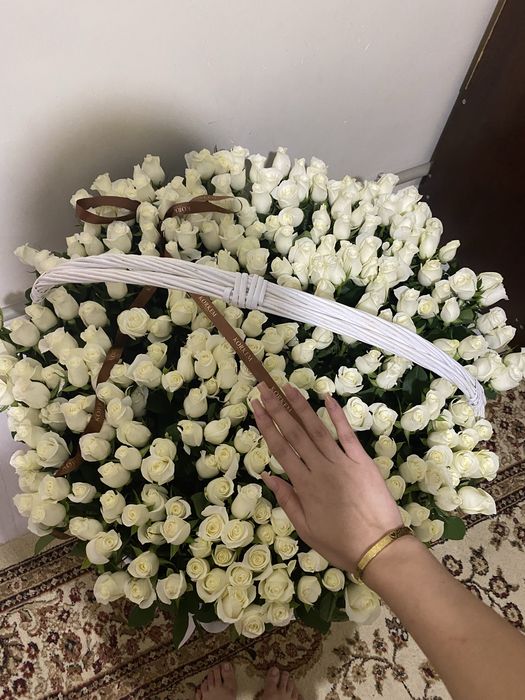 Цветы 301роза бүгін таңертең алдым