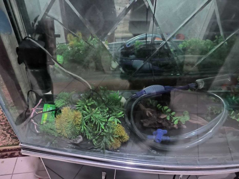 Аквариум 600 литров + аксессуары