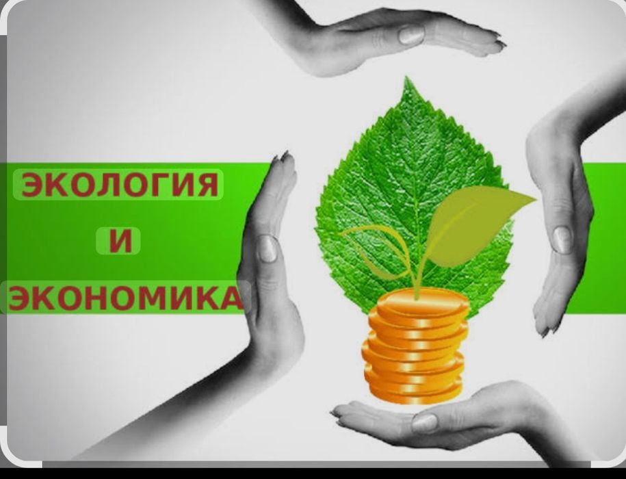 Инвесторов нужно