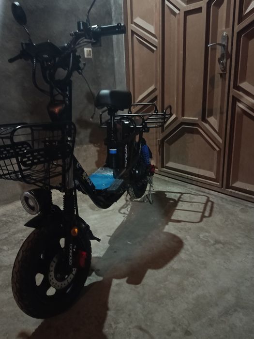 Drongo monster prabeg 600 km