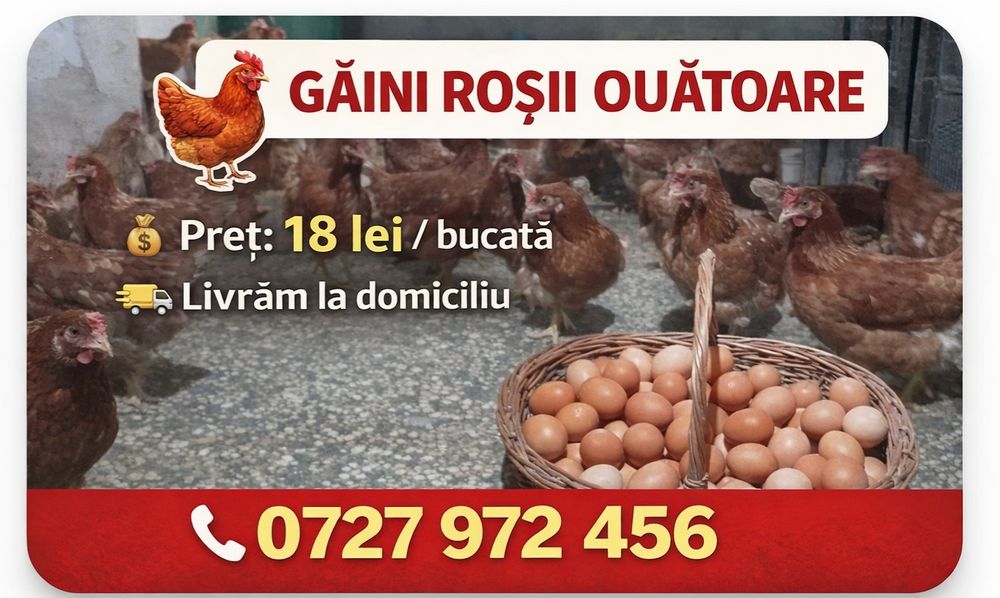Gaini rosi outoare