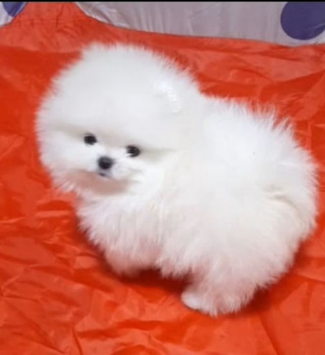 Красивый мальчишка