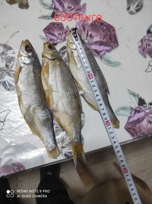 Продам вяленую рыбу