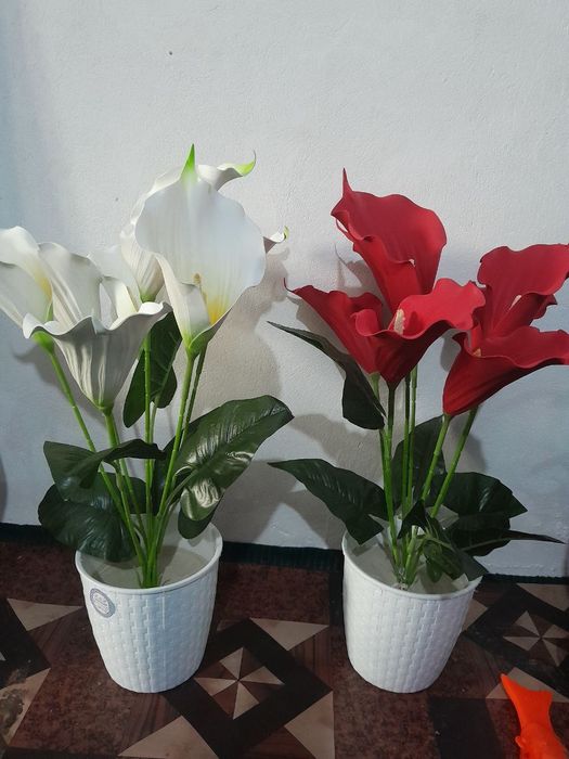 Suni gullar sotiladi