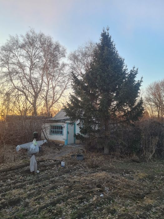 Продам дачу Сад Здоровье