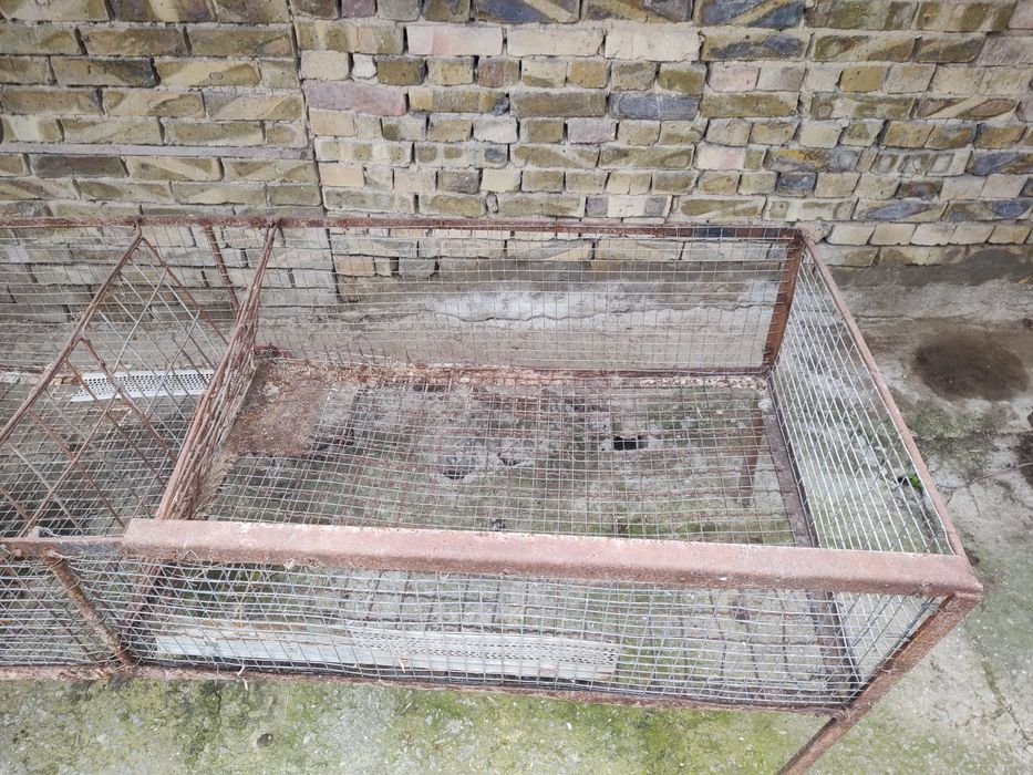 Зайчарник разделен на две