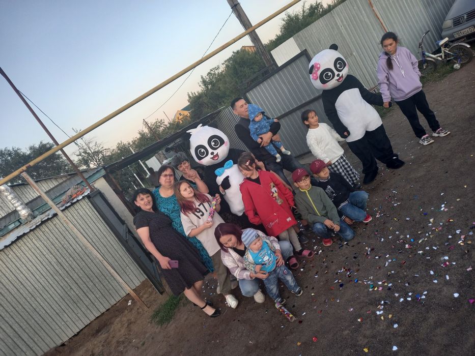 Ростове куклы, панда