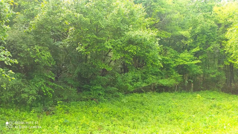 Продава се Къща в с. Пещера, Област Перник - 56 кв.м за 428 €/кв.м - Снимка #1