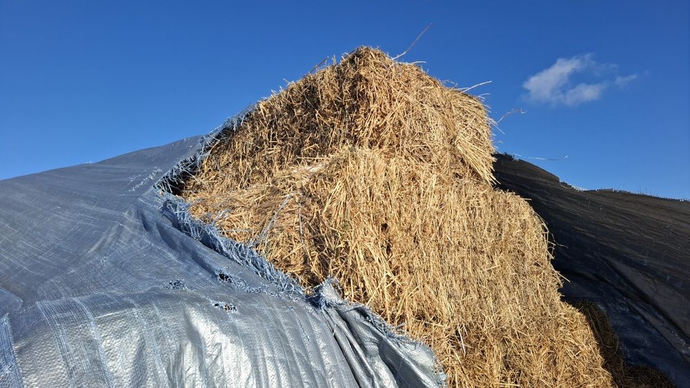 Baloți fân/lucernă