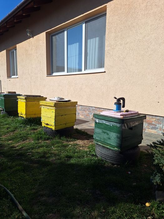 Lăzi verticale de albine - zece rame