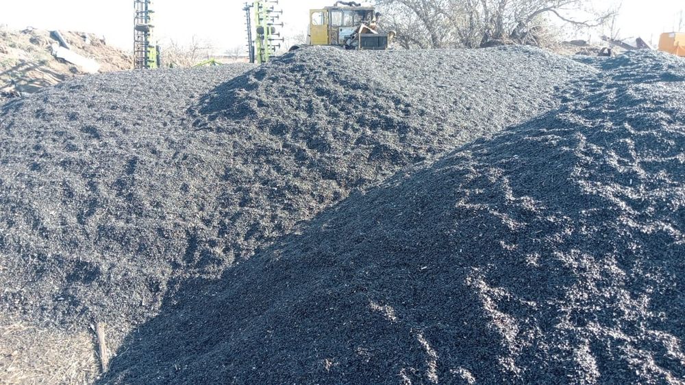 Продам Семечку подсолнух