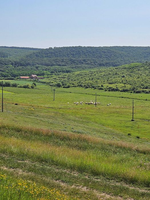 Vand Teren - 7200 mp - E581 si Teren - 2000 mp - Cretestii de Sus/Husi,Vaslui