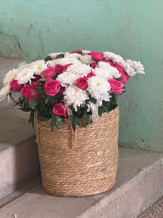 Цветы хризонтема