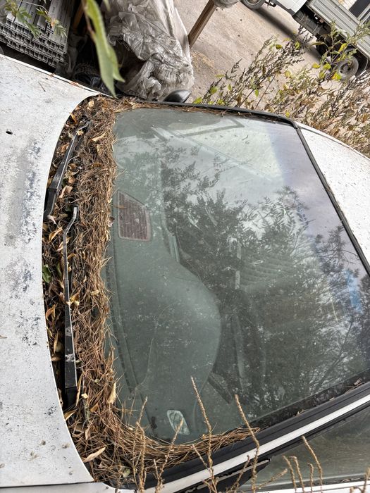 Honda civic продам