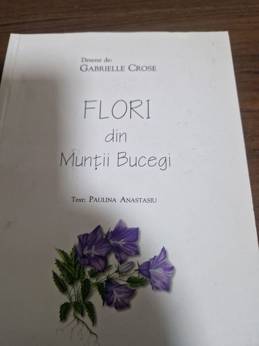 Flori din M.Bucegi