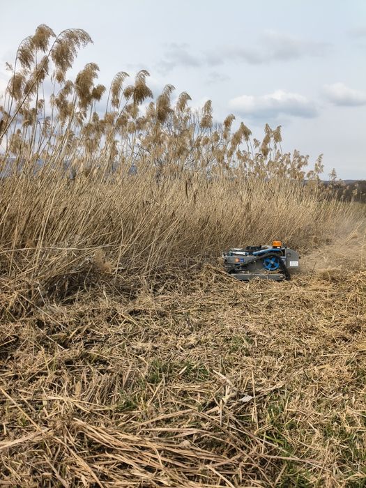 Косене на запуснати терени и дворове