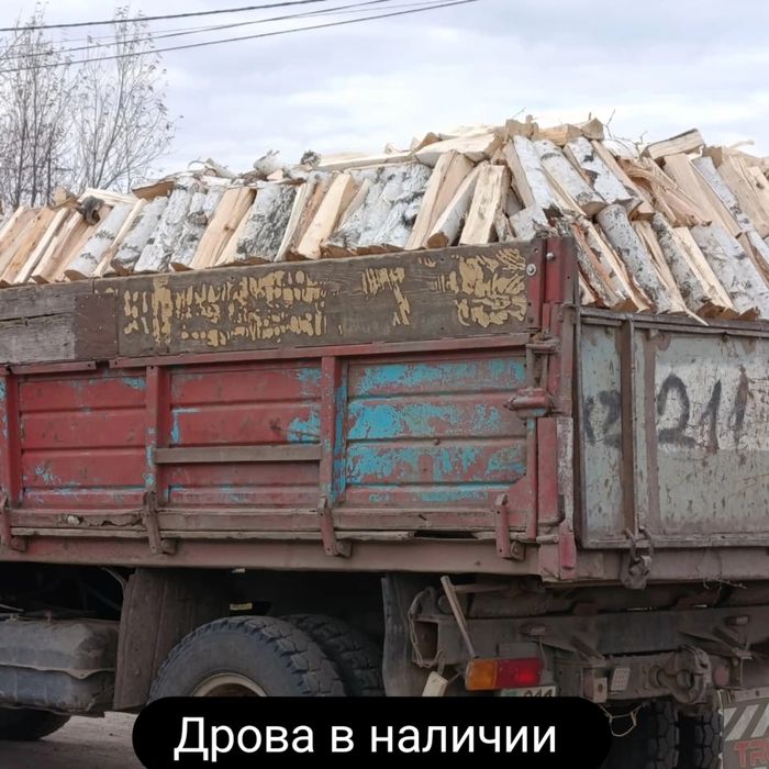 Дрова акколь с доставкой