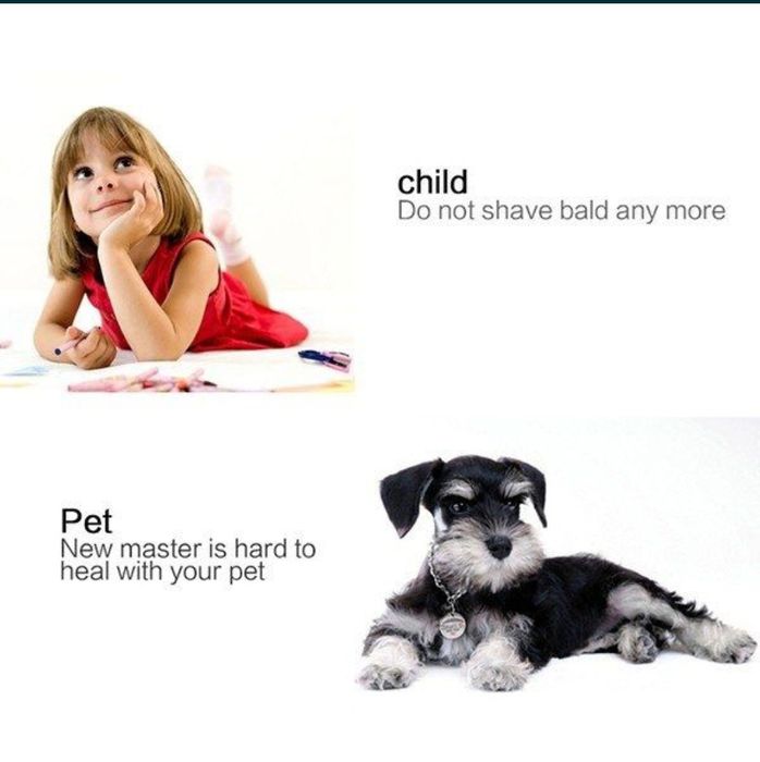 Pieptene cu aspirator anti-păduchi
Howli Showliss Pro
Howli Showliss P