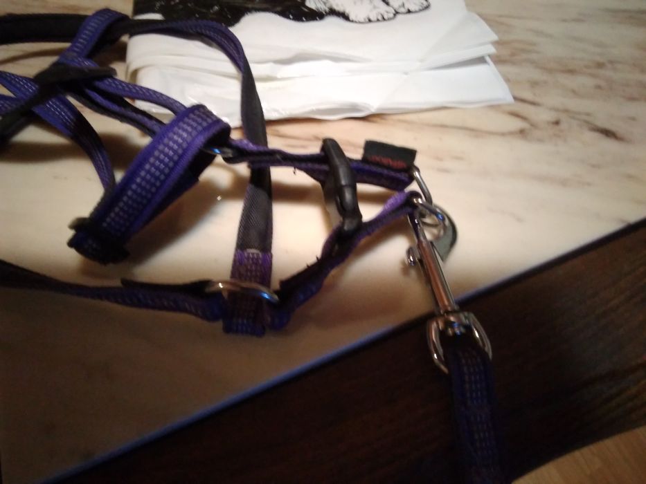 Комплект повод и нагръдник.