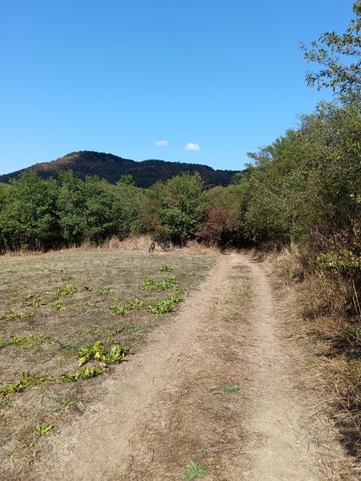 Teren  1000 mp, județul Sibiu, localitatea Amnas, pretabil A frame