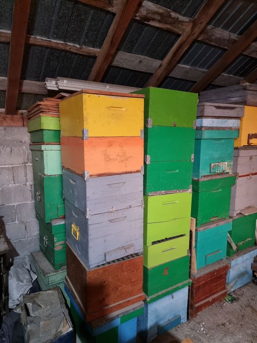 Vand cutii de stupi si rame