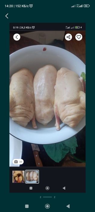 Продам мясо гуся