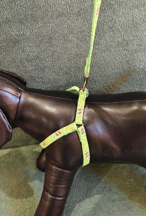 Шлейки для кошек,шлейка