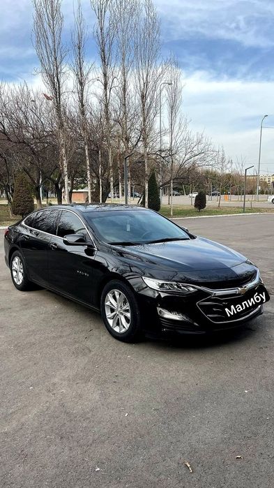 Аренда с Выкупом Malibu 2 Premier