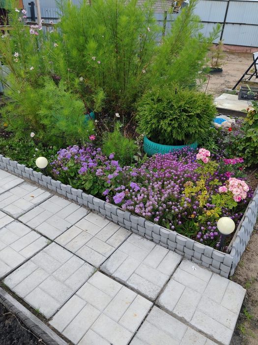 Дача в обществе Лада