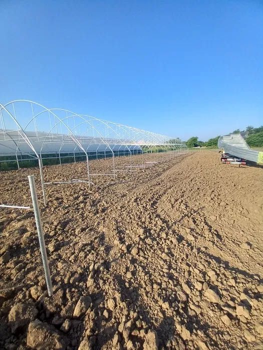 Solarii legume și flori