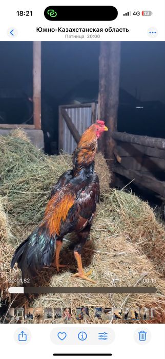 Апрелски веетнам микс