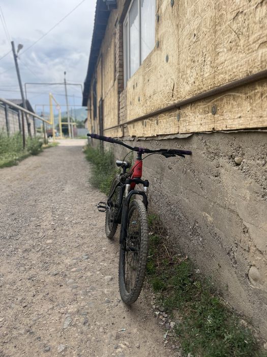 Мтб тианс