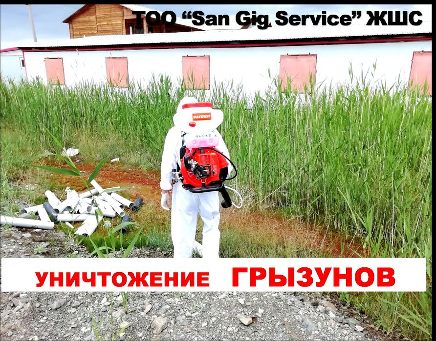 Дезинфекция муравьёв Семей