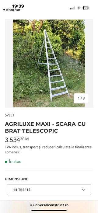 Scara vie pomi fructiferi