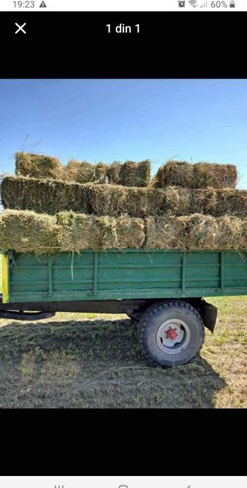 Vând baloți de lucernă