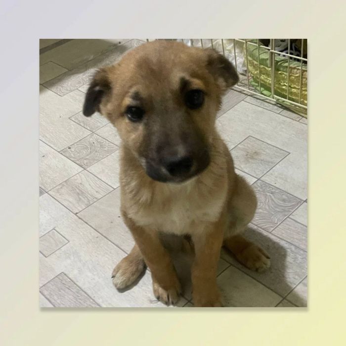 Малыш очень хочет обрести семью!