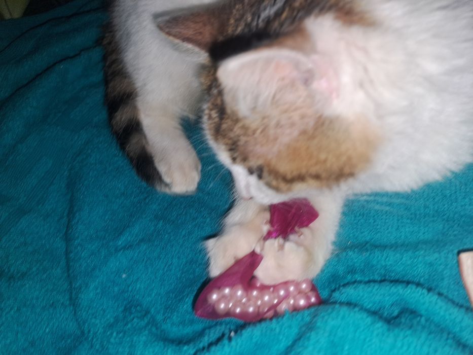 Perle de cultura 37 bucăți cu gaura f mica